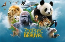 tourisme  Beauval  zoo de Beauval 